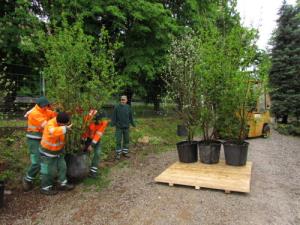 Pepa poroča iz Londona Dobila sem pozlačeno srebro31